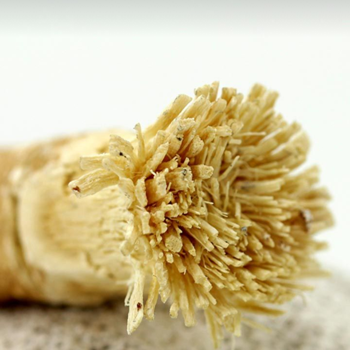 ANVAYA Natural Miswak Stick